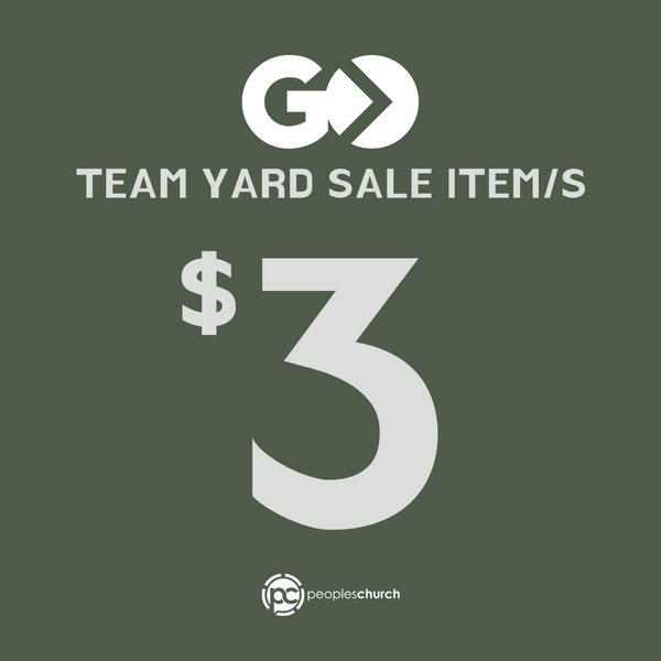 GO Team Yard Sale - $3